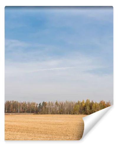 golden meadow near green trees against blue sky with clouds 