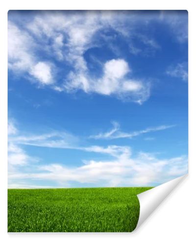 Field on a background of the blue sky