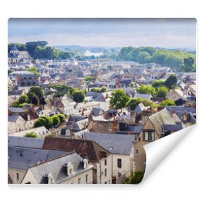 Amboise panorama - aerial view