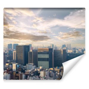 Cityscape of Tokyo, city aerial skyscraper view of office buildi