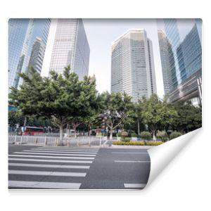 Road with zebra crossing in the city