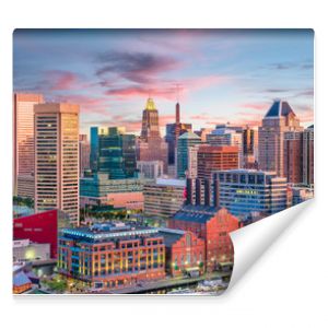 Panoramę Baltimore Maryland USA