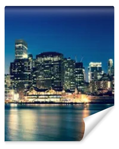 New York - view of Manhattan Skyline by night