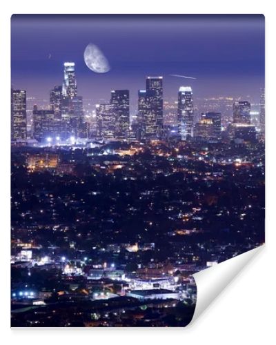 Los Angeles at Night