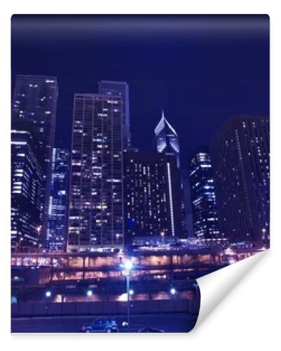 Skyline Chicago Cityscape