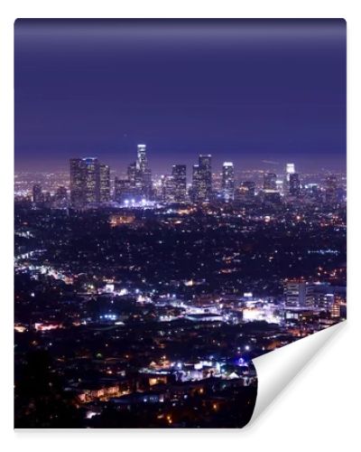 Los Angeles Night Skyline