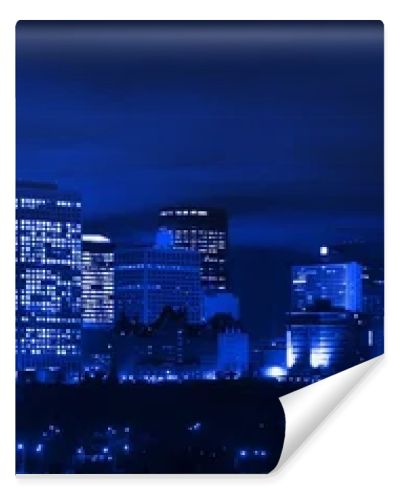 Edmonton Skyline