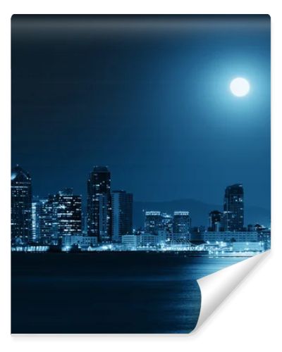 San Diego downtown skyline