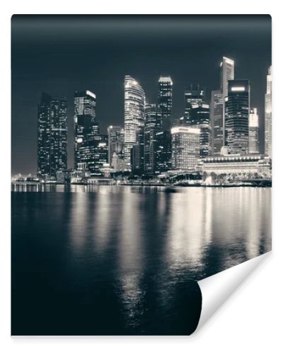 Singapore skyline