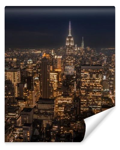 Lower Manhattan at night seen from a high place