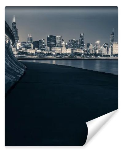Chicago Skyline at Night