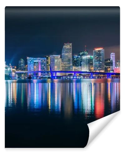 The Miami Skyline at night, seen from Watson Island, Miami, Flor