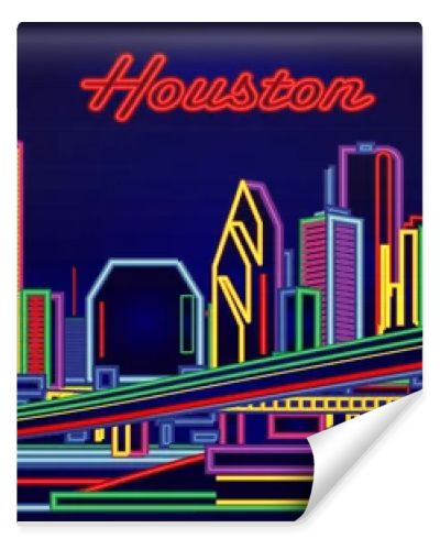 Houston Texas Neon Signs night skyline
