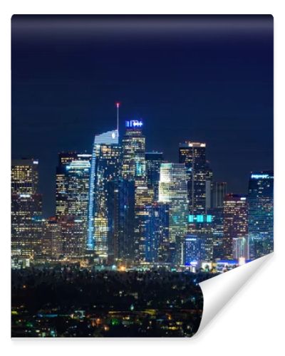 Downtown Los Angeles  skyline at night