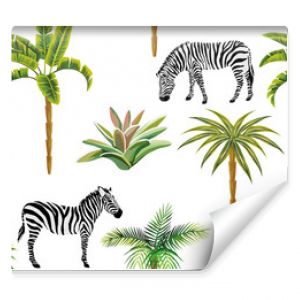 Animal zebra palm trees cactus seamless white background