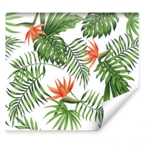 strelitzia orange white background pattern