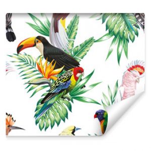 parrot maccaw and toucan on branch