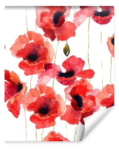 Stylized Poppy flowers illustration