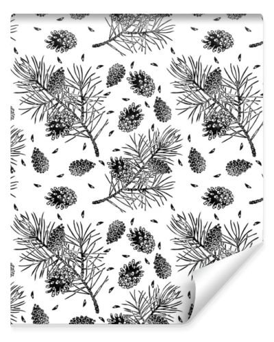 Pine seamless pattern isolated on white. Pinus sylvestris branch, cone, seed.