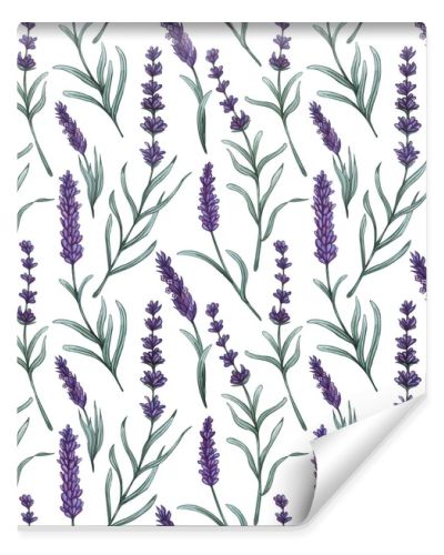 Watercolor lavender seamless pattern. Hand drawn floral background.