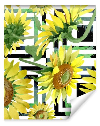 Sunflower floral botanical flowers. Watercolor background illustration set. Seamless background pattern.