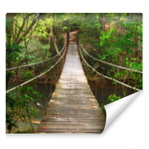 Most do dżungliPark Narodowy Khao YaiTajlandia