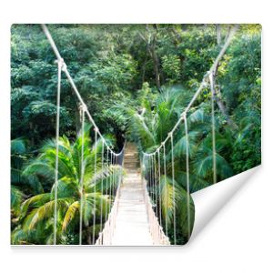 Most linowy w dżungli wiszący w lesie deszczowym Hondurasu