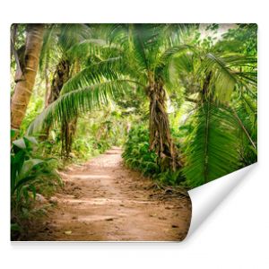 Zmielona wiejska droga po środku tropikalnej dżungli