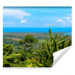panoramiczny widok na australijski las deszczowy z rzeką i wybrzeżem Cairns Australia