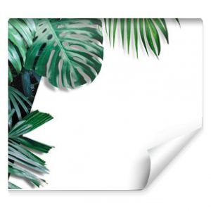 Baner z tropikalnymi liśćmi na białym tle z miejsca na kopię