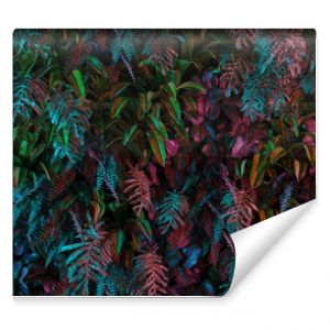Neonowa tropikalna dżungla pozostawia las w żywych kolorach na tle retro plakatu, jak nieznajome rzeczy 80. 70. 60. renderowanie 3D