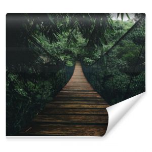 Drewniany podwieszany most w lesie