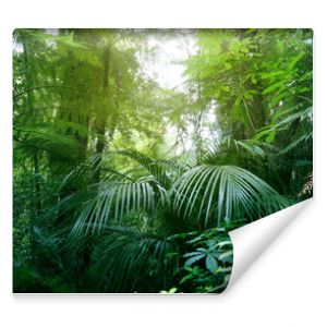 Baldachim zielonego lasu tropikalnej dżungli