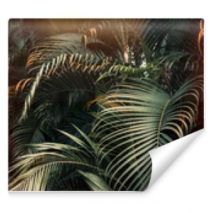 Głęboko ciemnozielony wzór liści palmowych z efektem jasnopomarańczowego rozbłysku słońca Kreatywny układ stonowany w pionie