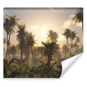 Poranek w dżungli Dżungla we mgle Panorama palm w lesie deszczowym we mgle Dżungla we mgle