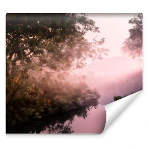 Fantazyjny wieczorny zachód słońca w raju w dżungli Gęsta roślinność lasu deszczowego spokojny staw w mglistym świetle wolumetrycznym renderowania 3D