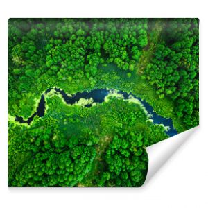 Niesamowite kwitnące glony na zielonym widoku z lotu ptaka rzeki