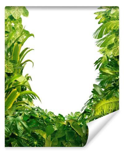 Tropical Plants Blank Frame