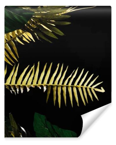 Monstera and fern leaves isolated on black
