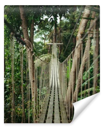 suspension bridge