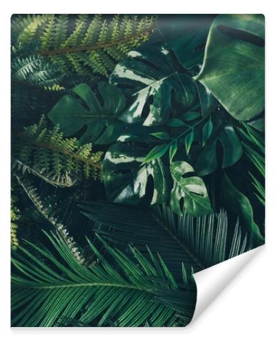 Creative nature background. Green tropical palm leaves. Minimal summer abstract jungle or forest composition. Contemporary style.