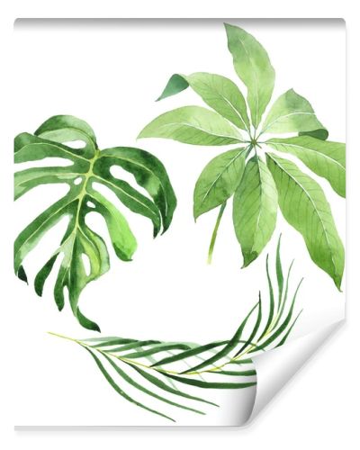 Exotic tropical hawaiian green palm leaves isolated on white. Watercolor background set. 