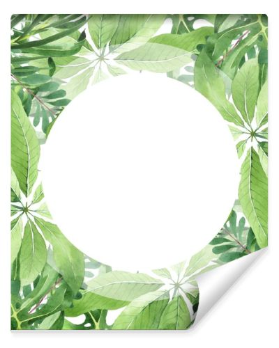 Exotic tropical hawaiian green palm leaves isolated on white. Watercolor background set. Frame with copy space.