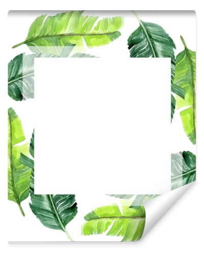 Exotic tropical hawaiian palm tree leaves isolated on white. Watercolor background illustration set. Frame ornament with copy space.
