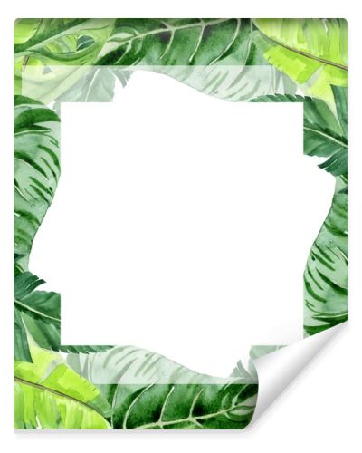 Exotic tropical hawaiian palm tree leaves isolated on white. Watercolor background illustration set. Frame ornament with copy space.