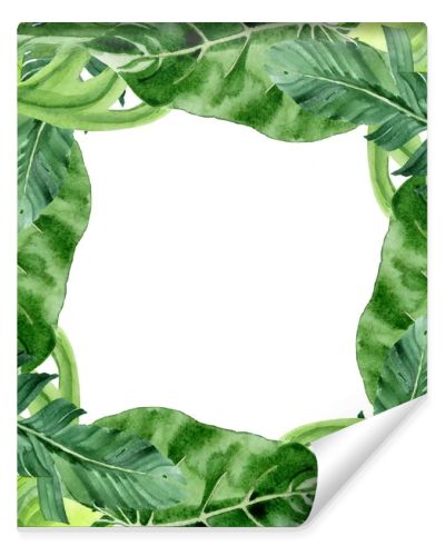 Exotic tropical hawaiian palm tree leaves isolated on white. Watercolor background illustration set. Frame ornament with copy space.