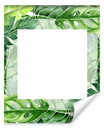 Exotic tropical hawaiian palm tree leaves isolated on white. Watercolor background illustration set. Frame ornament with copy space.