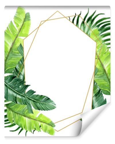 Exotic tropical hawaiian palm tree leaves isolated on white. Watercolor background illustration set. Frame ornament with copy space.