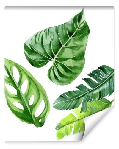 Exotic tropical hawaiian palm tree leaves isolated on white. Watercolor background illustration set. 