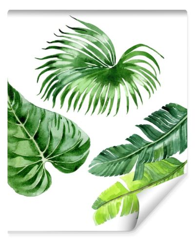Exotic tropical hawaiian palm tree leaves isolated on white. Watercolor background illustration set. 